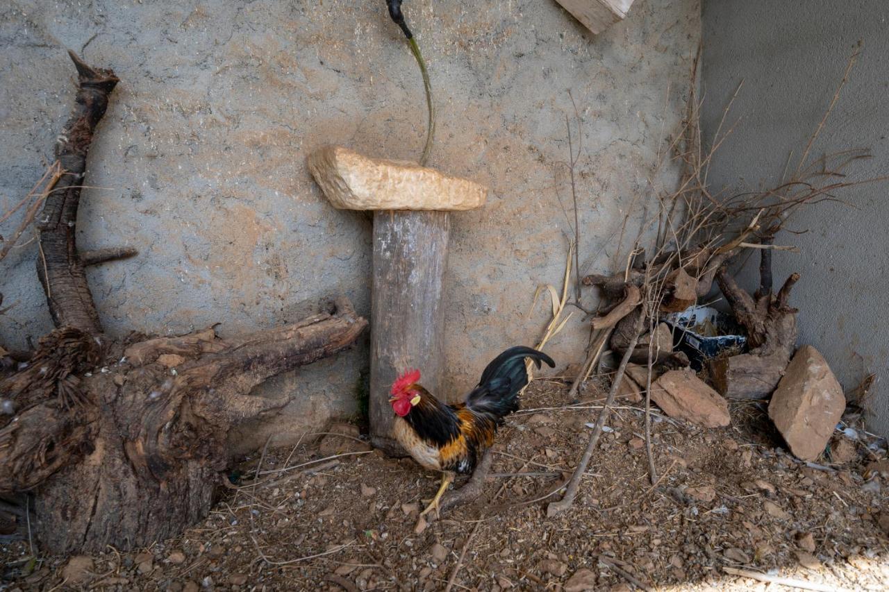 Reul Alto Cortijos Rurales Casa de hóspedes Laroya Exterior foto