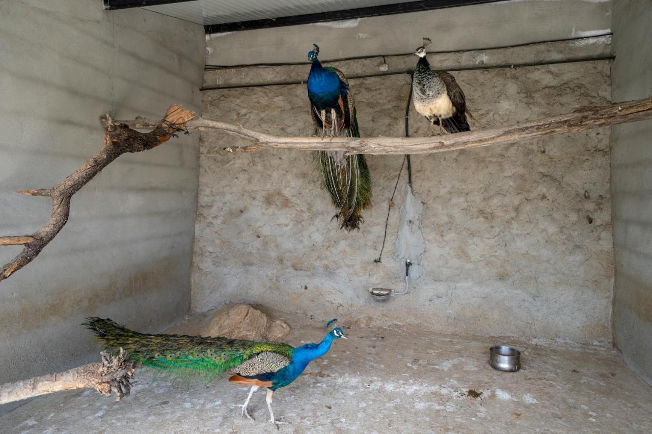 Reul Alto Cortijos Rurales Casa de hóspedes Laroya Exterior foto
