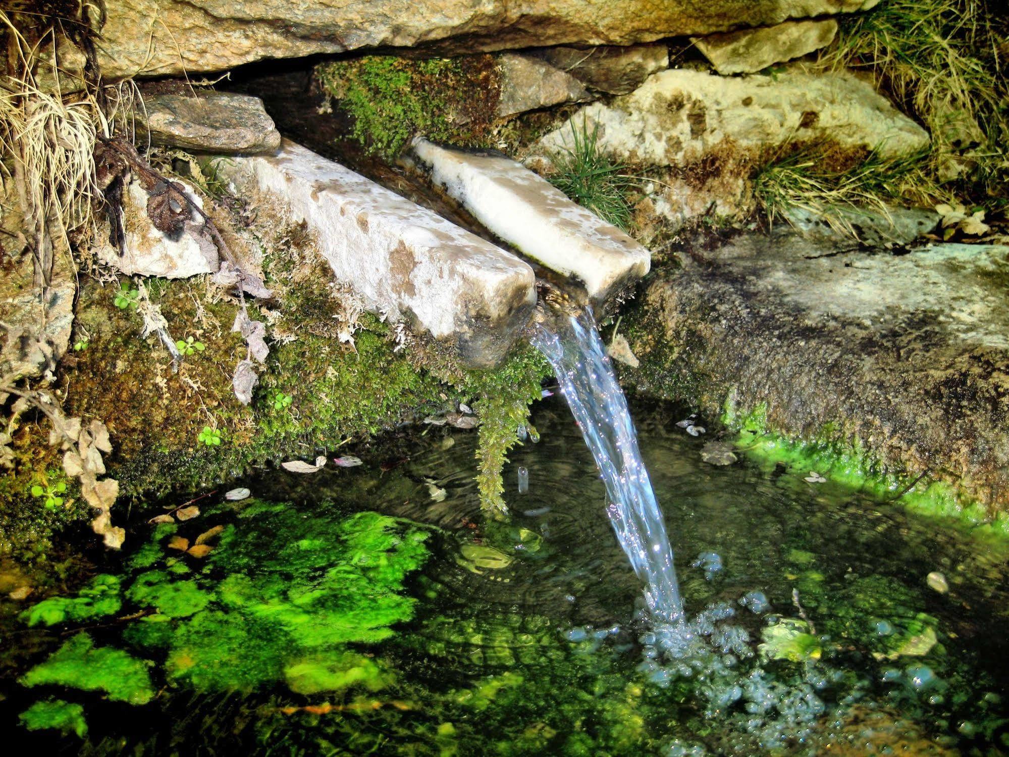 Reul Alto Cortijos Rurales Casa de hóspedes Laroya Exterior foto